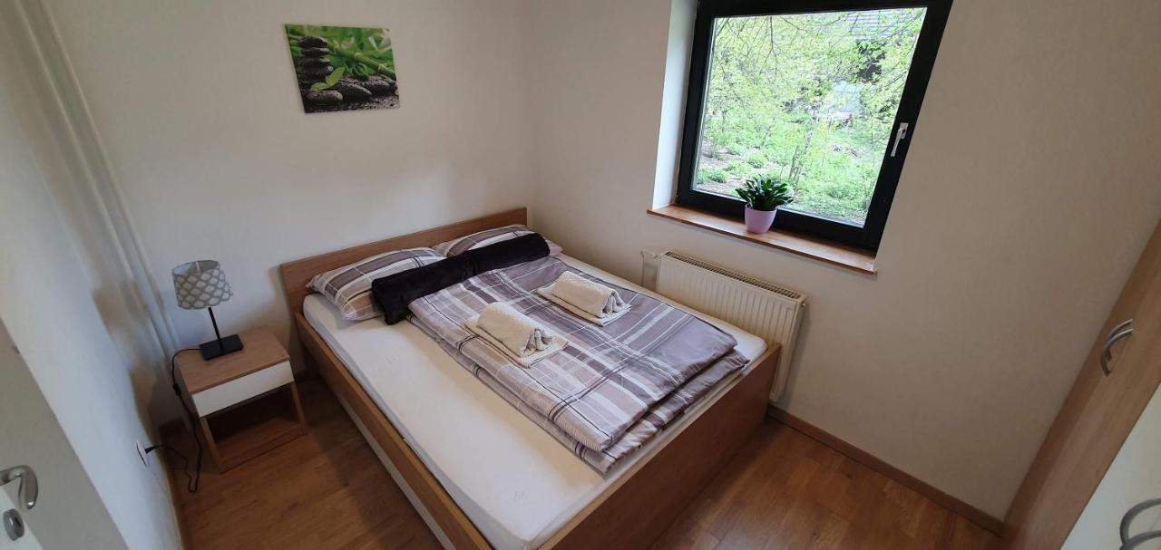 Apartment Alpska Astra 克拉尼斯卡戈拉 外观 照片