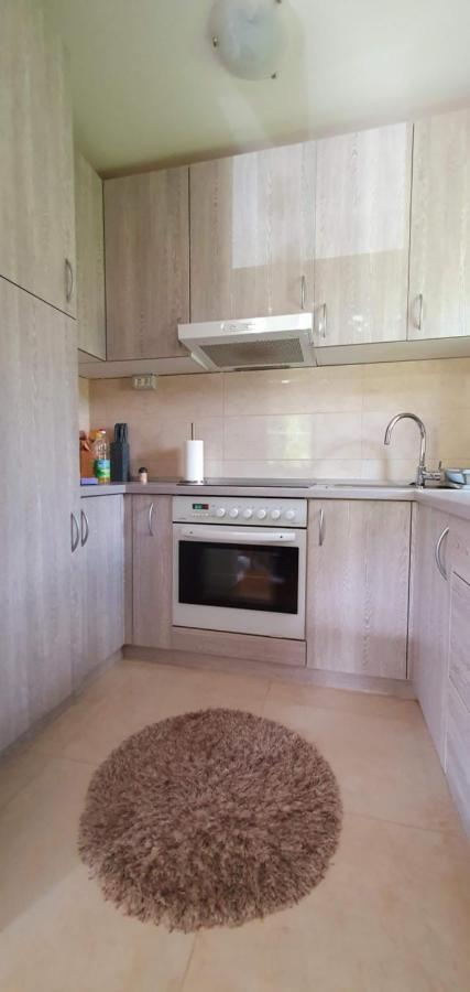Apartment Alpska Astra 克拉尼斯卡戈拉 外观 照片