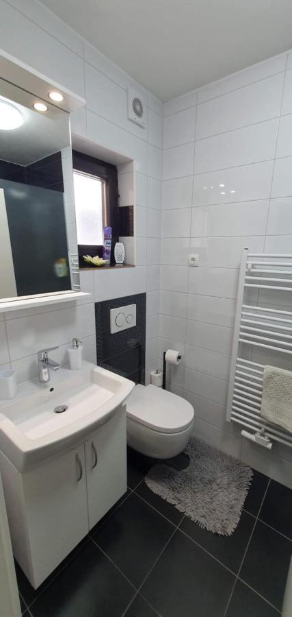 Apartment Alpska Astra 克拉尼斯卡戈拉 外观 照片